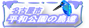鳥類調査グループ